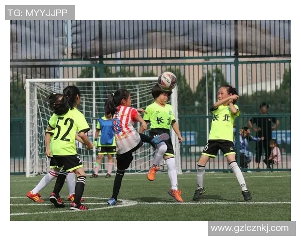 《当生命在绿茵场定格：一名球星的最后一场比赛》